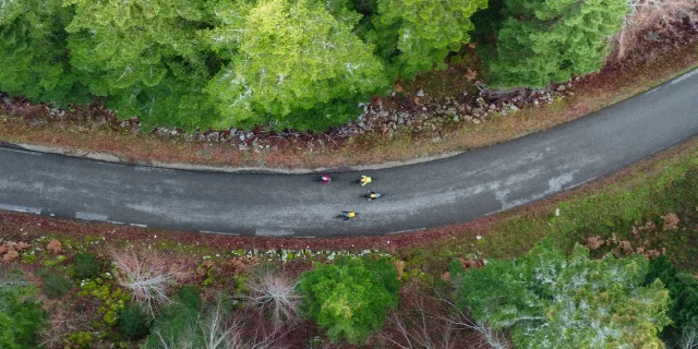 Screenshoot Bois Barbu (2)