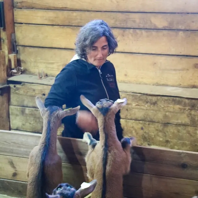 Chèvrerie Des Cabrioles