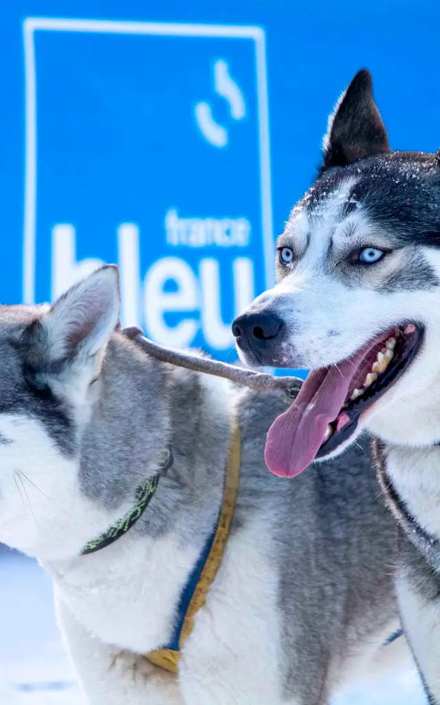 2023 01 19 La Grande Odyssée Judicael Rey (88)