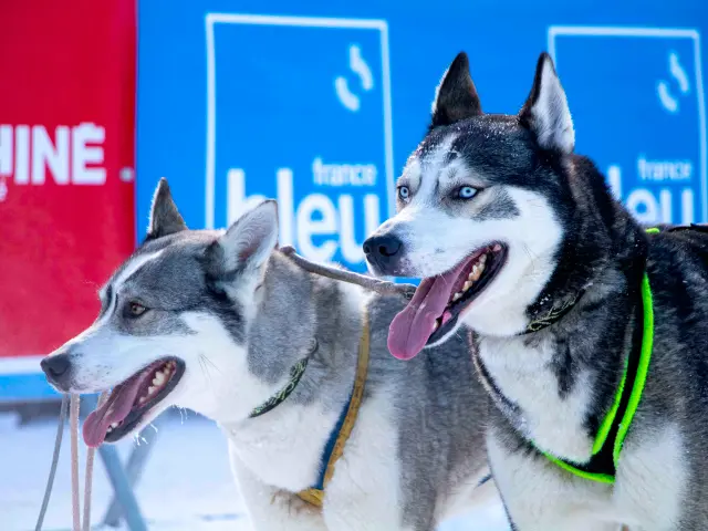 2023 01 19 La Grande Odyssée Judicael Rey (88)