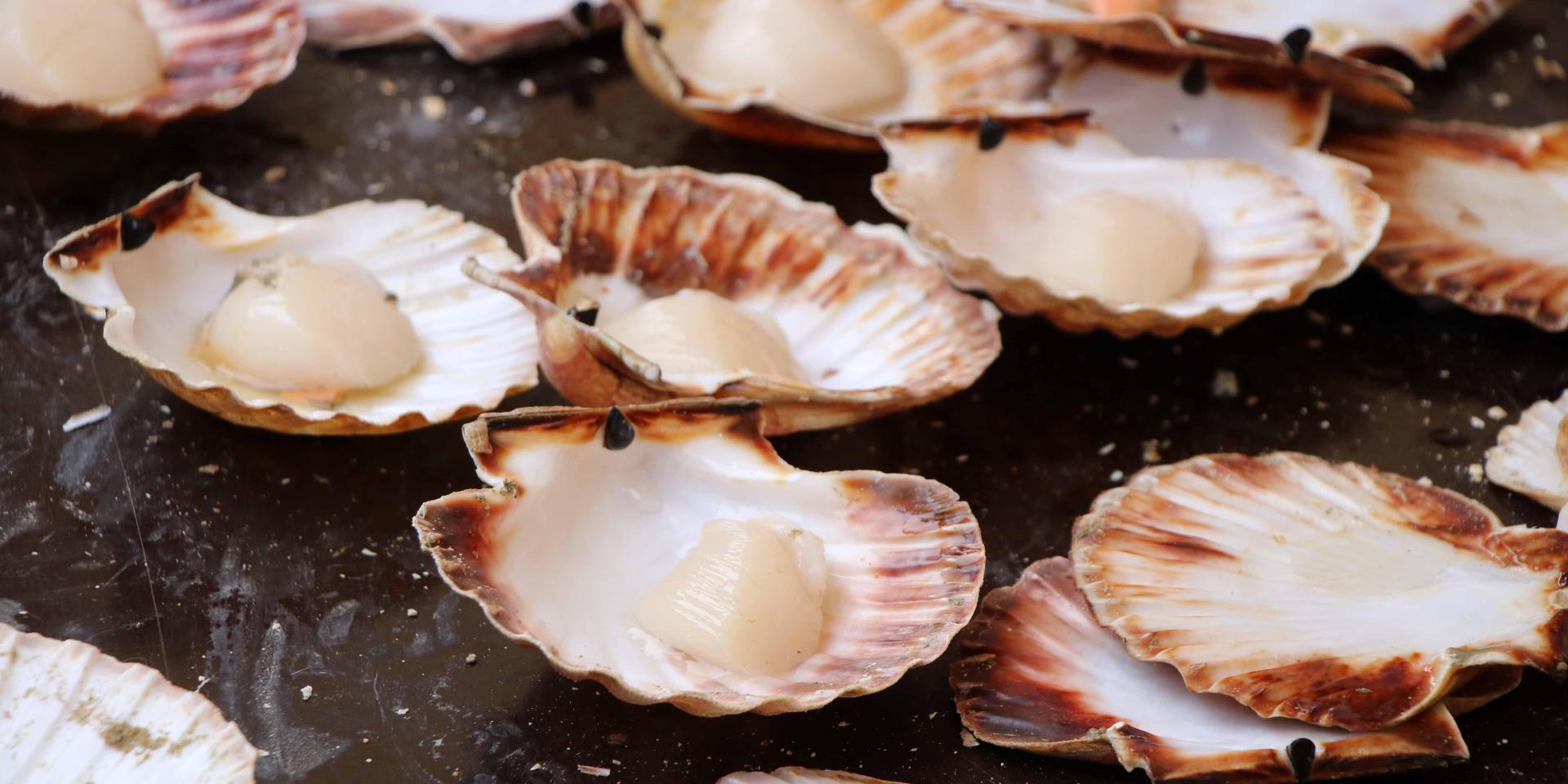 La fête de la coquille SaintJacques Office de tourisme de Villard de