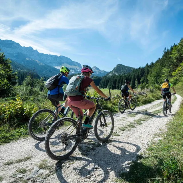 Vttae Villard De Lans Hd Juliette Rebour 27