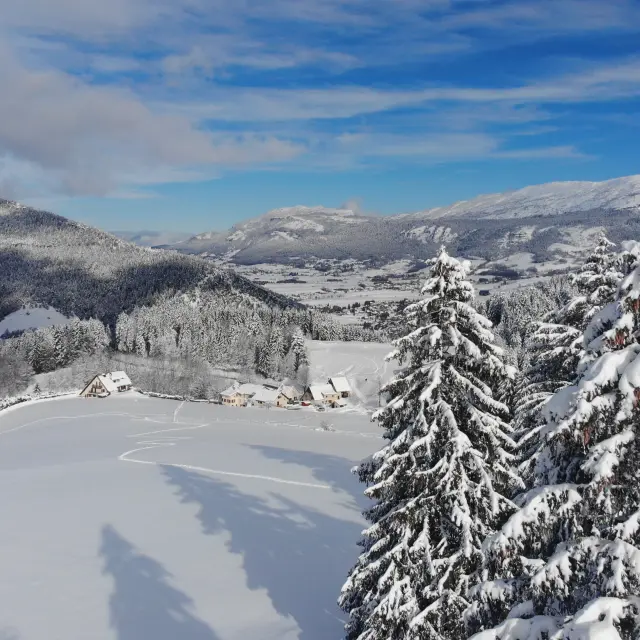 creato da dji camera