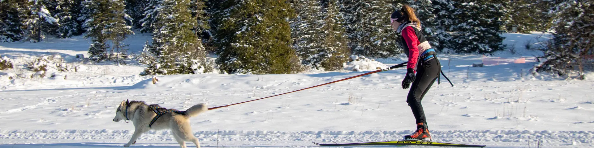 2023 01 24 Sci Joering Judicael Rey 11