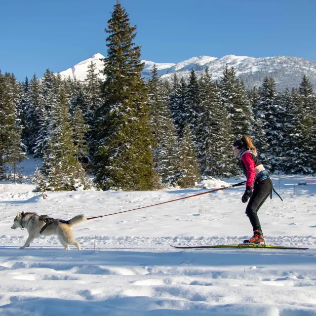 2023 01 24 Sci Joering Judicael Rey 11