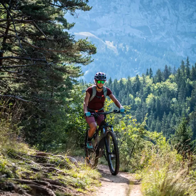 Vttae Villard De Lans