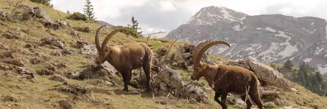 Primavera 2024claire Szymanek 16