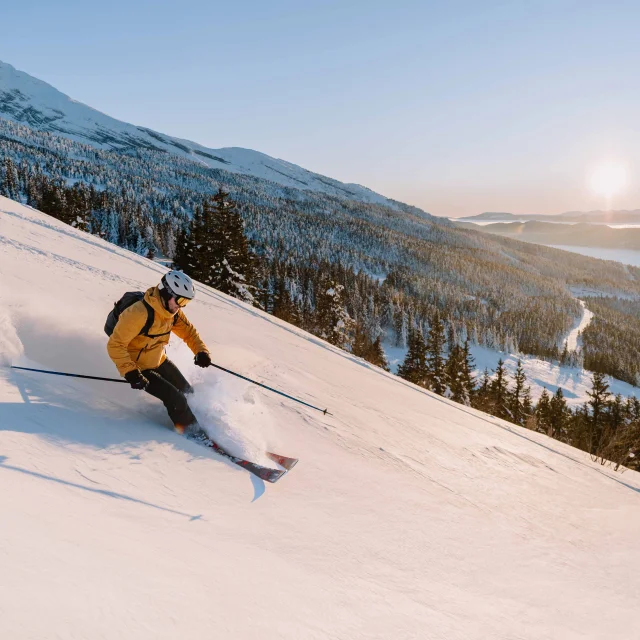 A19i9045 Florian Monot 1