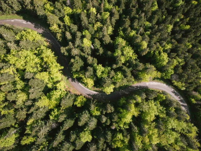 240521 Ambiance forêt à Bois Barbu