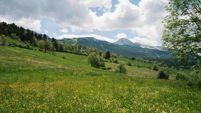 240605 Viavercors 5 1