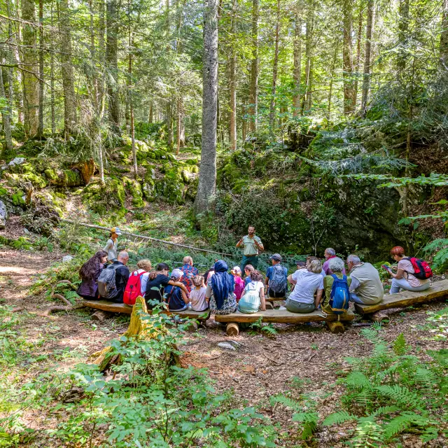 Marteloscopenacho Grez 9573 2