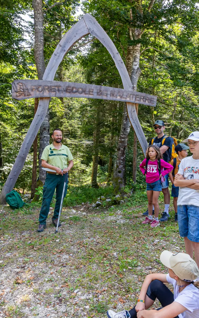 Marteloscopenachogrez 6