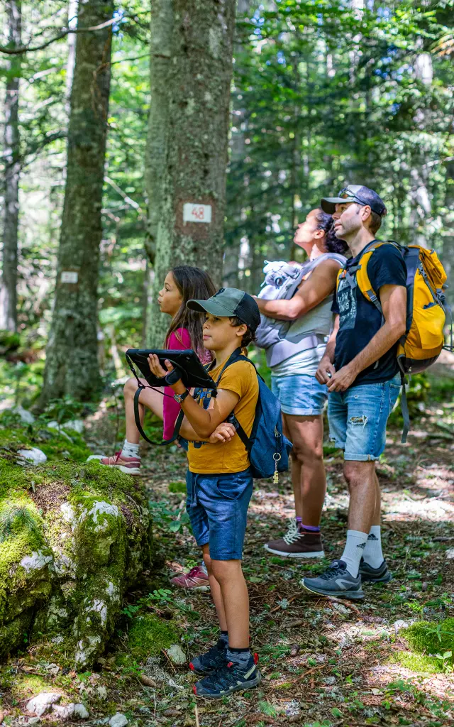 Marteloscopenachogrez 4