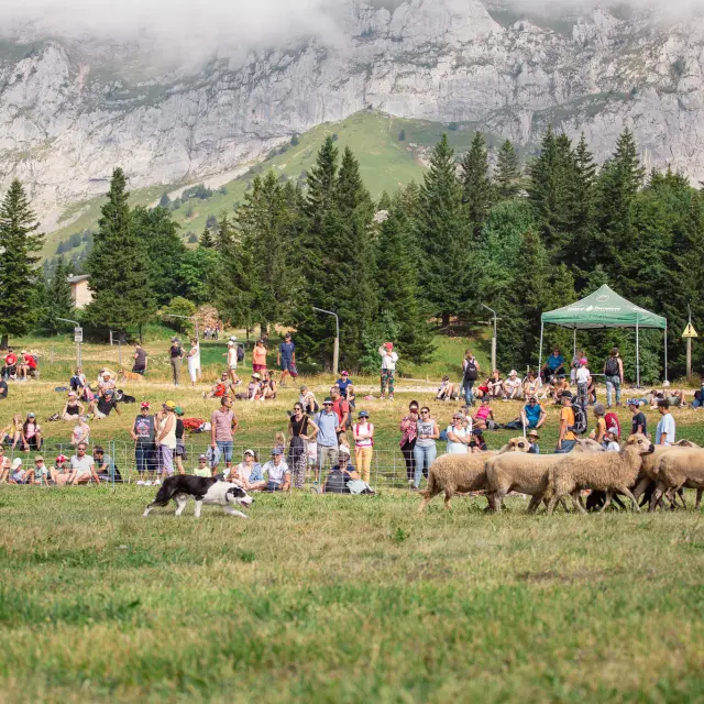 2024 Fetedelamontagnec.szymanek 40