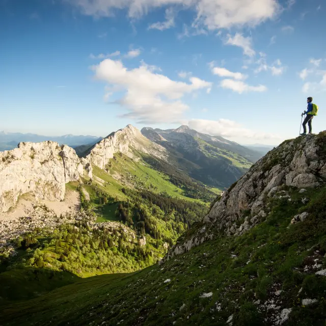 Cornafion Hd Focus Outdoor 0001 1