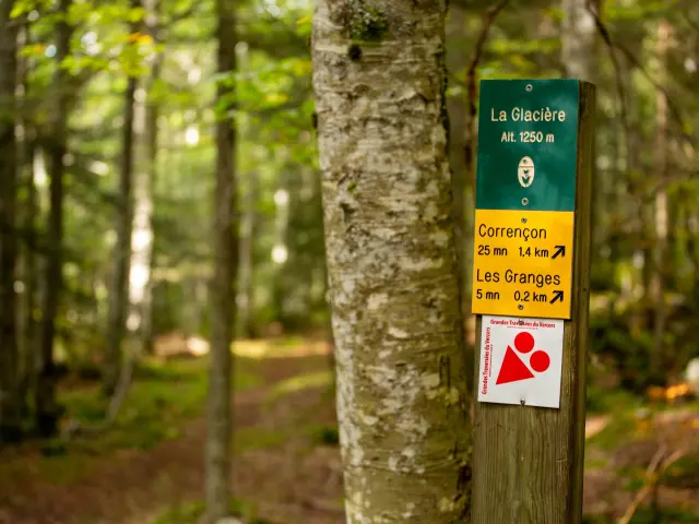 Panneau de randonnée en forêt avec indications pour La Glacière, Corrençon et Les Granges