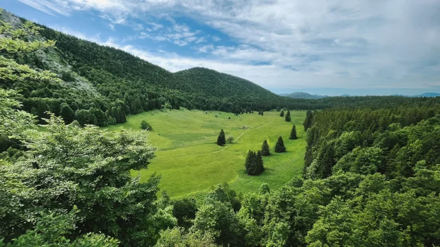 240617 49laroyale Rouge 18