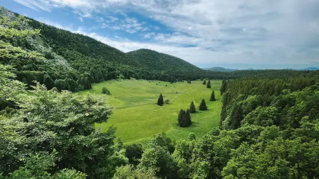 240617 49laroyale Rouge 18