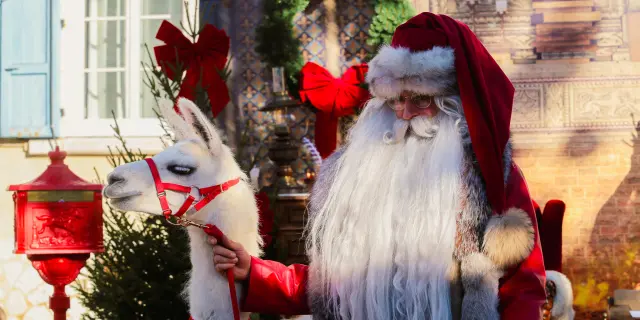 Noel2023c.szymanek 25