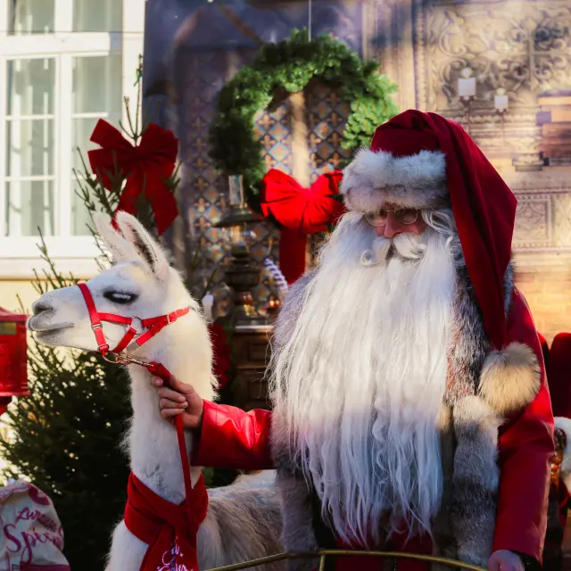 Noel2023c.szymanek 25