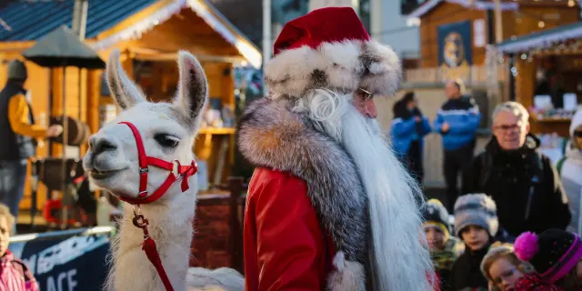 Noel2023c.szymanek 1