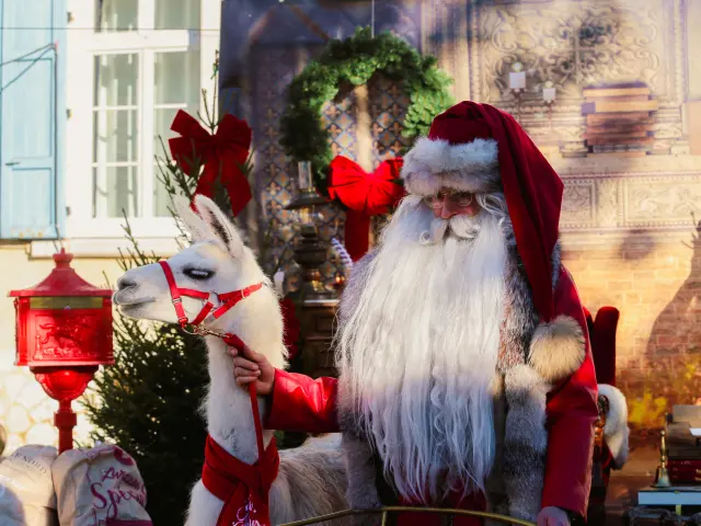 Noel2023c.szymanek 25