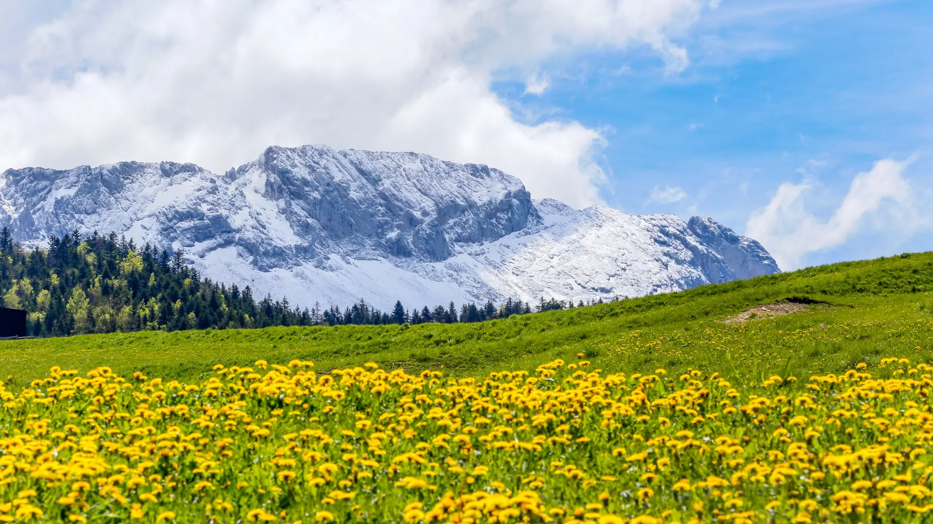 Carolesavary Paysage Printemps 3