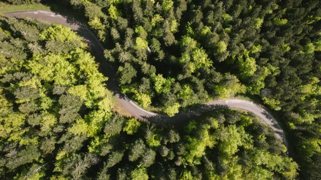 240521 Ambiance forêt à Bois Barbu