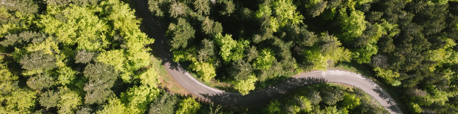 240521 Atmosfera forestale al Bois Barbu