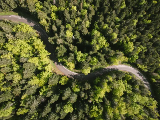 240521 Ambiance forêt à Bois Barbu