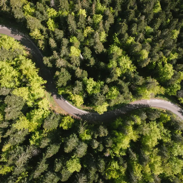 240521 Ambiance forêt à Bois Barbu