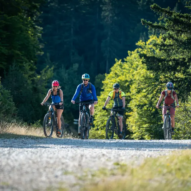 Vttae Villard De Lans Hd Juliette Rebour 1