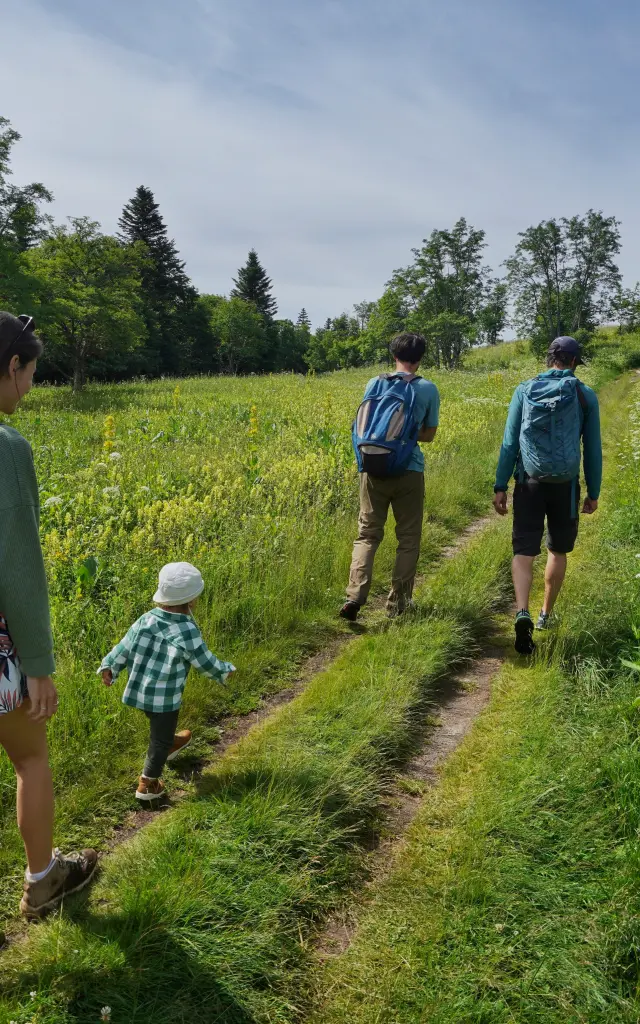 Vercors Villarddelans Passeggiata guidata Adelestravel