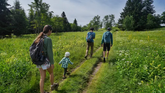 Vercors Villarddelans Promenadeguidee Adelestravel