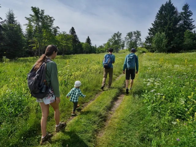 Vercors Villarddelans Promenadeguidee Adelestravel