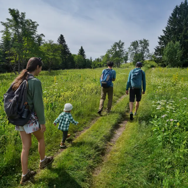Vercors Villarddelans Promenadeguidee Adelestravel