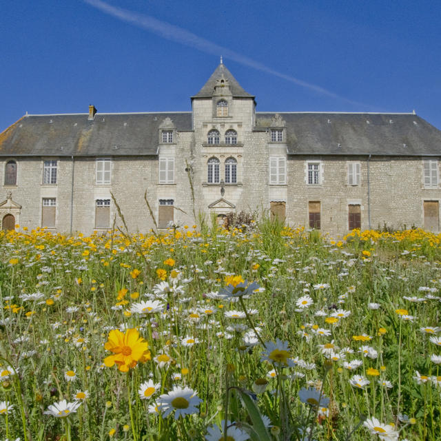 Grands Projets