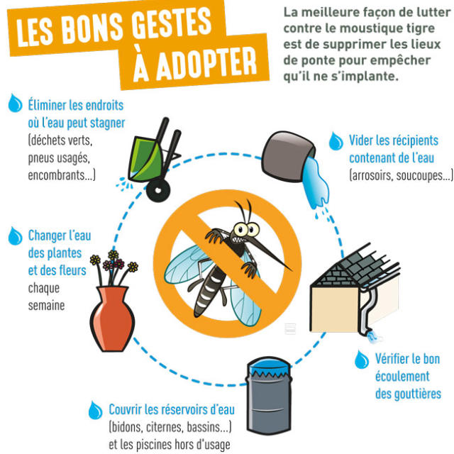 Moustique Tigre Bons Gestes Web