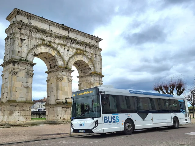 Buss