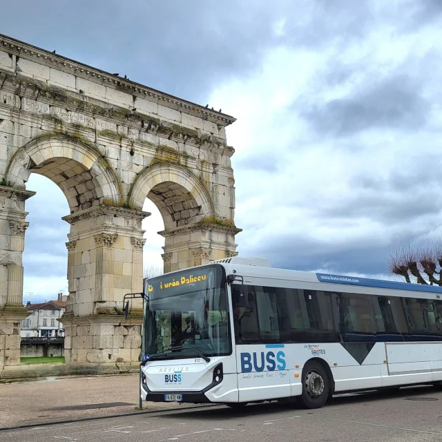 Buss