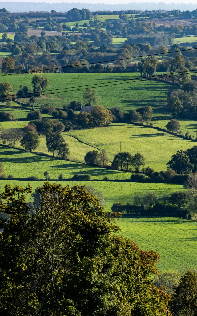 Bocage