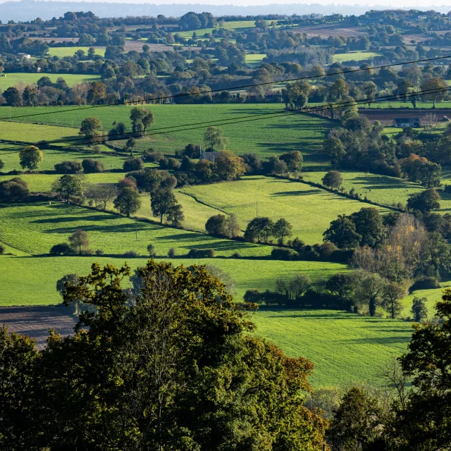 Bocage