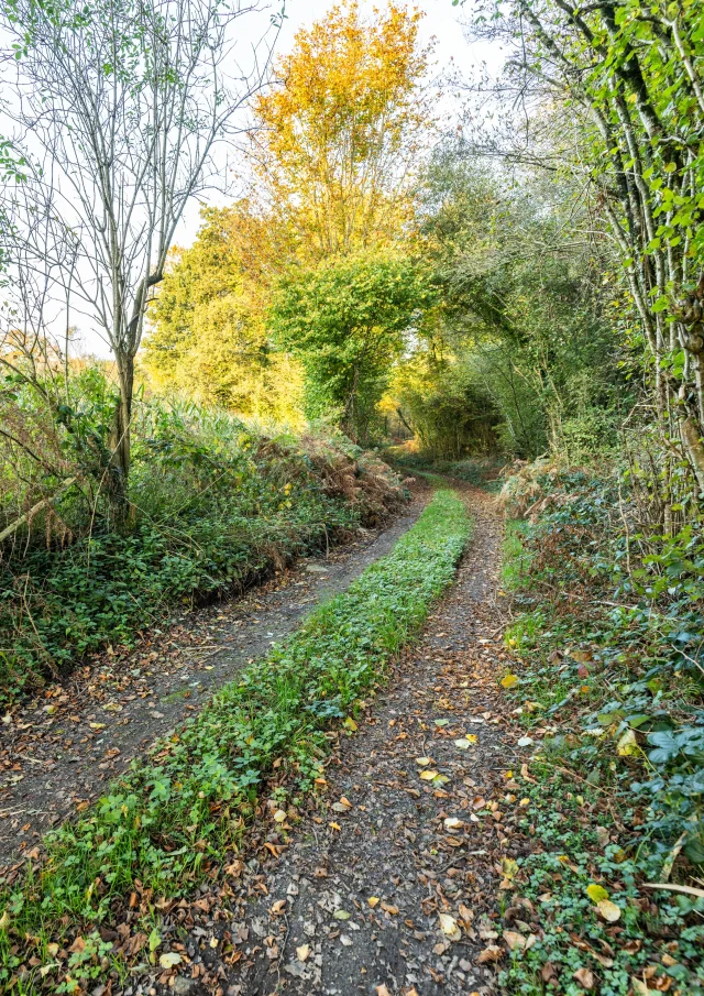 Bocage chemin