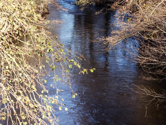 La Sienne