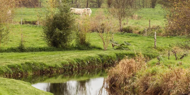 La Sienne