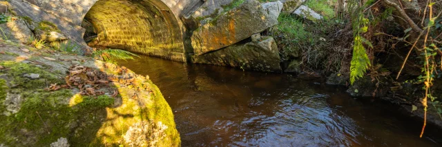 Cours d'eau