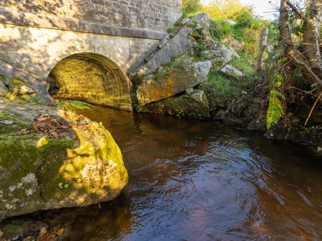 Cours d'eau