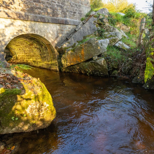 Cours d'eau