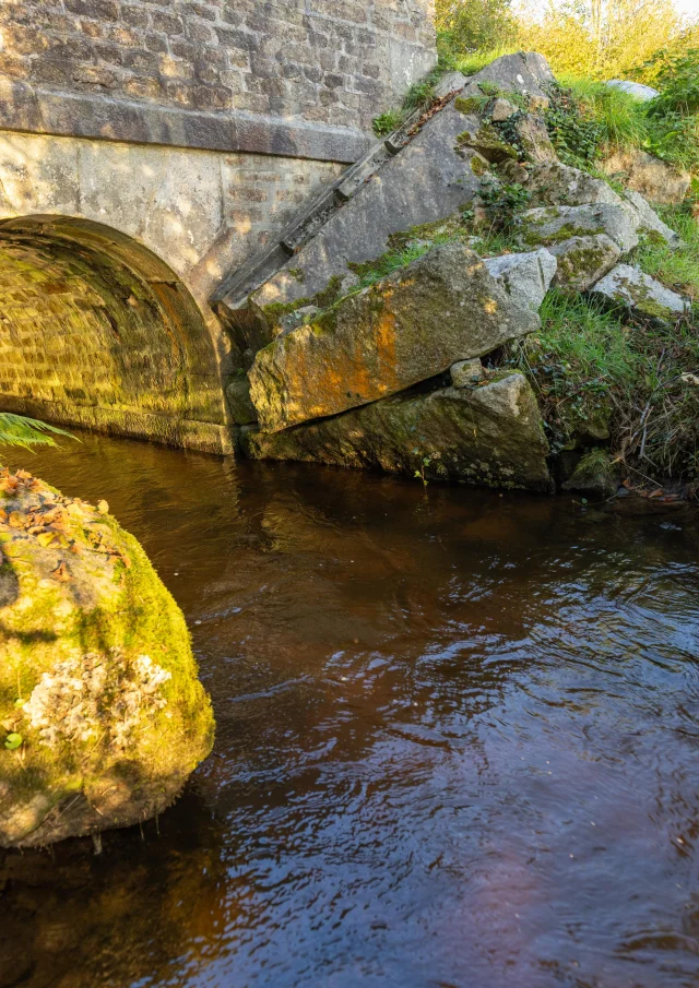 Cours d'eau