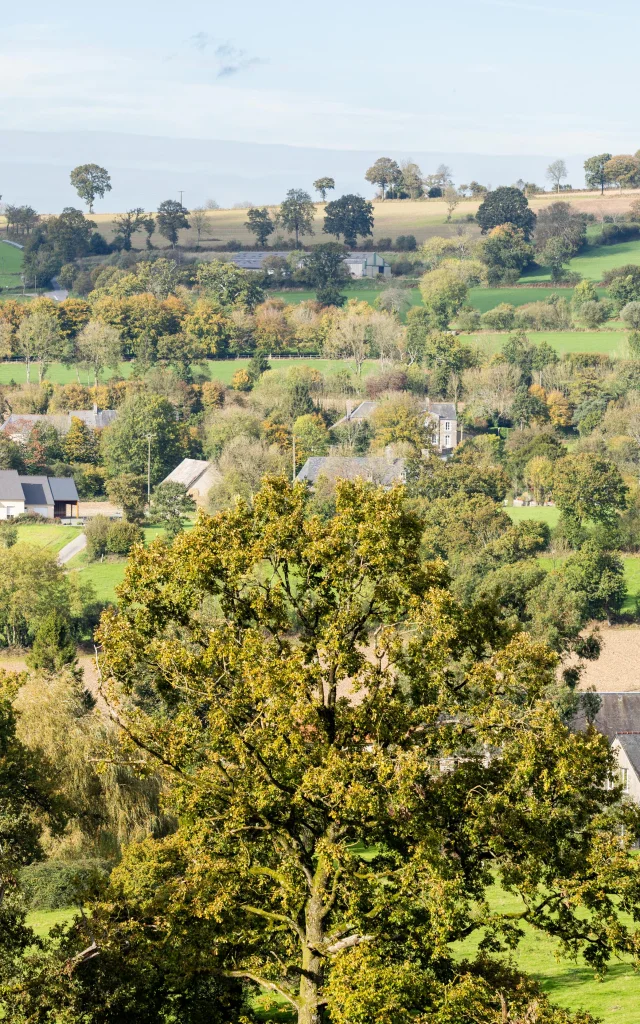 Communes-Montabot